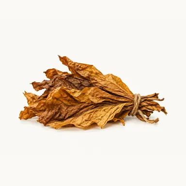 Pęczek suszonych liści tytoniu - nuta tytoniu w whisky, rumie i brandy